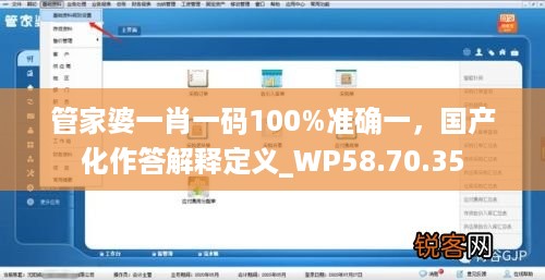 管家婆一肖一码100%准确一，国产化作答解释定义_WP58.70.35