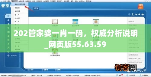 202管家婆一肖一码，权威分析说明_网页版55.63.59