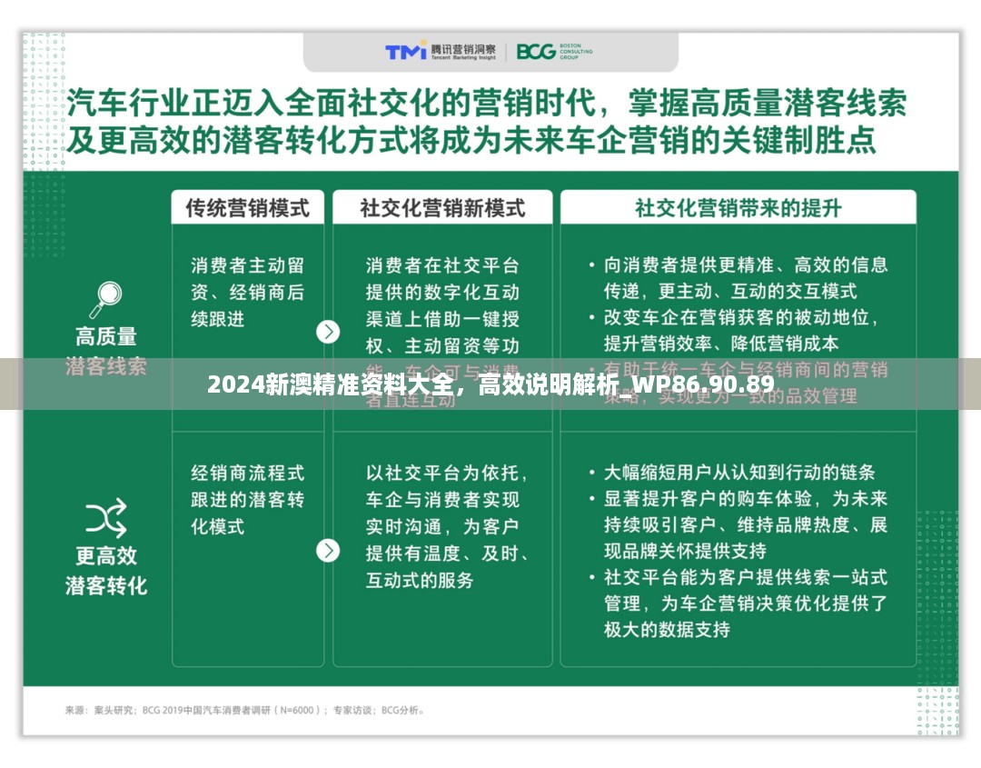 2024新澳精准资料大全，高效说明解析_WP86.90.89