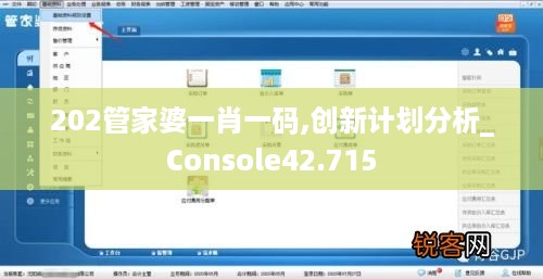 202管家婆一肖一码,创新计划分析_Console42.715