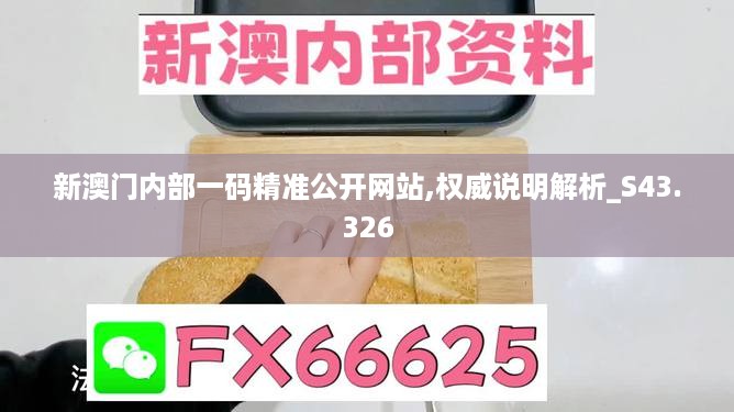 新澳门内部一码精准公开网站,权威说明解析_S43.326