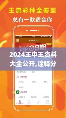 2024王中王资料大全公开,诠释分析解析_W52.808