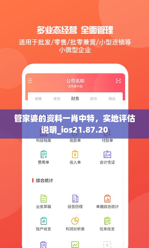 管家婆的资料一肖中特，实地评估说明_ios21.87.20