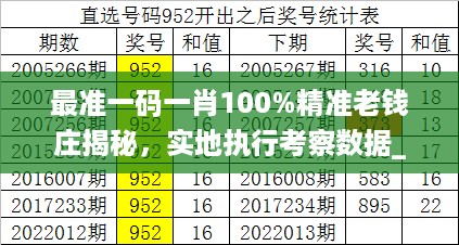 最准一码一肖100%精准老钱庄揭秘，实地执行考察数据_3D64.82.95