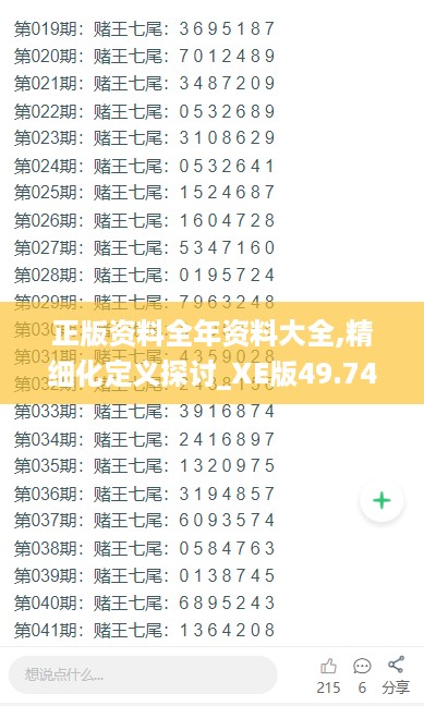 正版资料全年资料大全,精细化定义探讨_XE版49.745