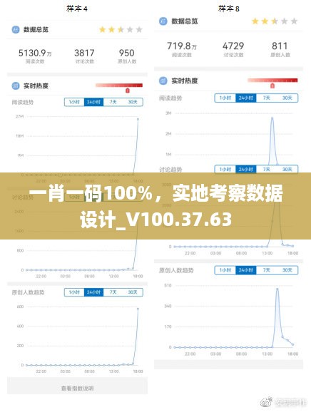 一肖一码100%，实地考察数据设计_V100.37.63