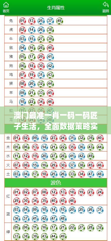 2024年10月 第276页