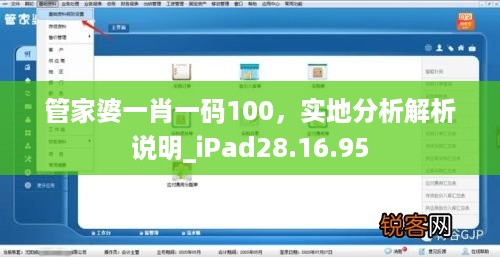 管家婆一肖一码100，实地分析解析说明_iPad28.16.95