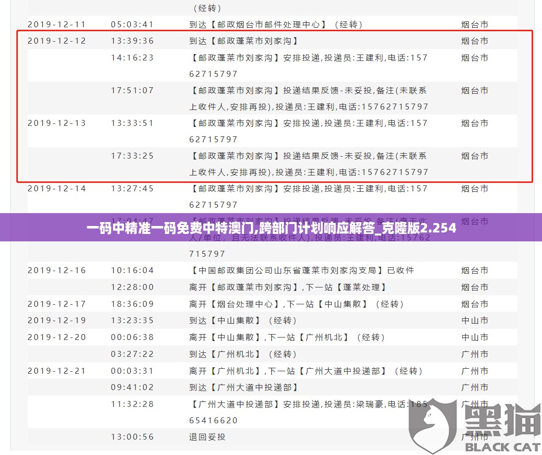 一码中精准一码免费中特澳门,跨部门计划响应解答_克隆版2.254