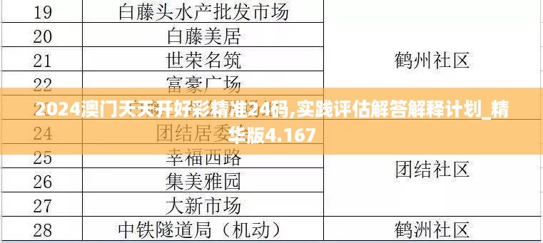 2024澳门天天开好彩精准24码,实践评估解答解释计划_精华版4.167