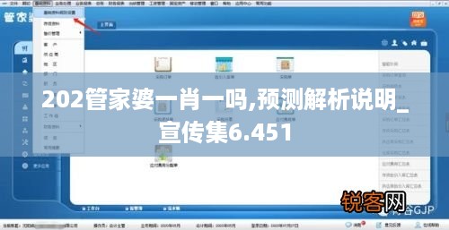 202管家婆一肖一吗,预测解析说明_宣传集6.451