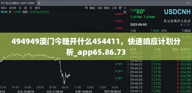 494949澳门今晚开什么454411，快速响应计划分析_app65.86.73