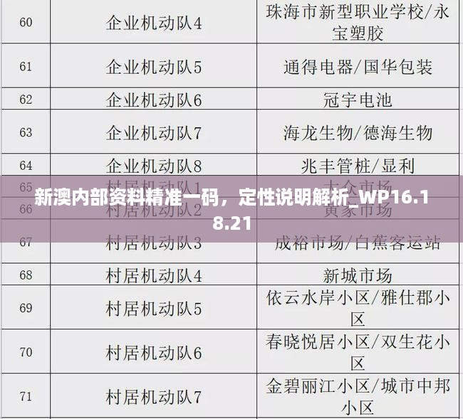 新澳内部资料精准一码，定性说明解析_WP16.18.21