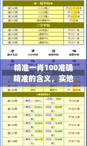 精准一肖100准确精准的含义，实地数据分析计划_WP31.93.35