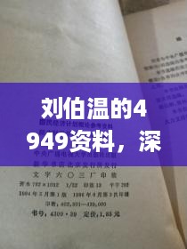 刘伯温的4949资料，深入数据应用计划_HD2.52.59