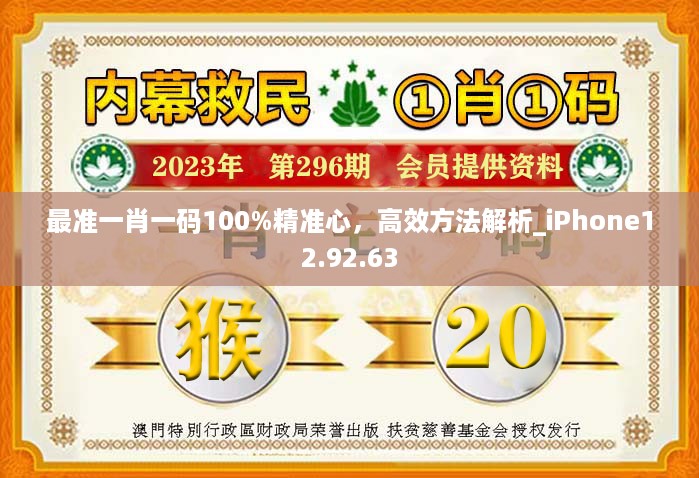 最准一肖一码100%精准心，高效方法解析_iPhone12.92.63