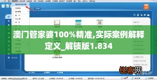 澳门管家婆100%精准,实际案例解释定义_解锁版1.834