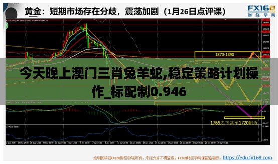 2024年10月 第245页