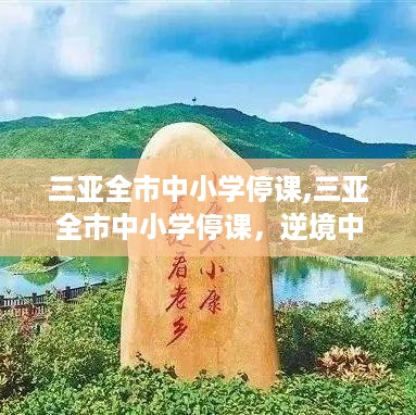 三亚全市中小学停课，逆境中的学习与成长之旅