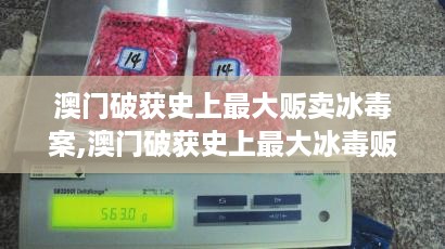 澳门破获史上最大冰毒贩卖案，深度测评与详细介绍