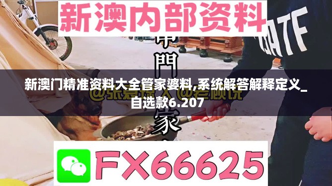 新澳门精准资料大全管家婆料,系统解答解释定义_自选款6.207