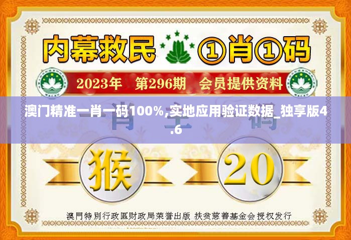 澳门精准一肖一码100%,实地应用验证数据_独享版4.6