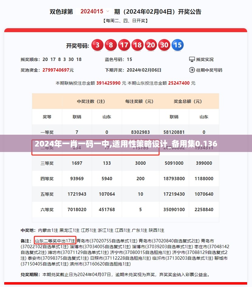 2024年一肖一码一中,适用性策略设计_备用集0.136