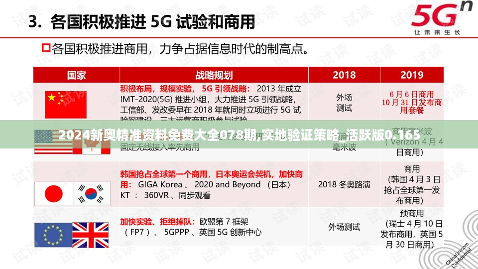 2024新奥精准资料免费大全078期,实地验证策略_活跃版0.165