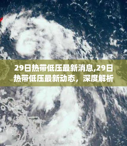 热带低压最新动态深度解析与案例分析报告发布