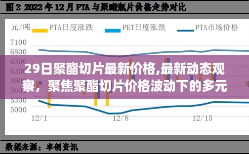 最新动态观察，聚焦聚酯切片价格波动下的多元视角分析（最新价格更新）