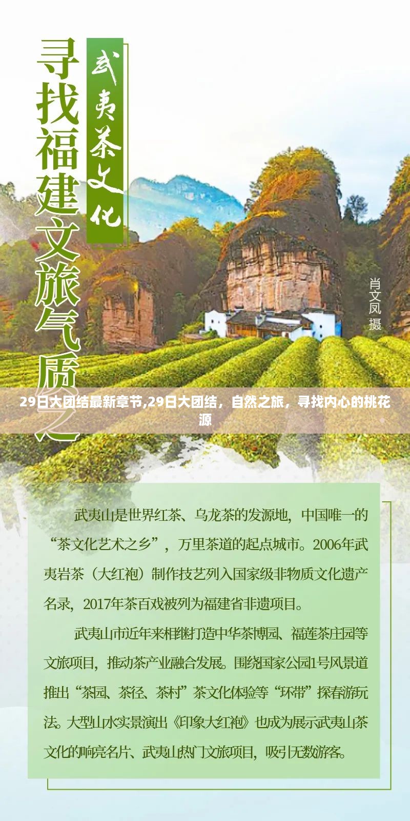 自然之旅，寻找内心的桃花源——最新章节揭晓