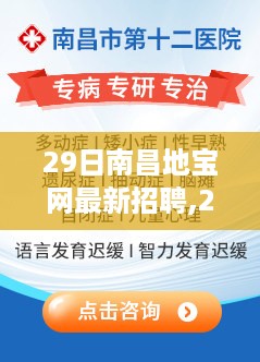 29日南昌地宝网最新招聘全解析，职场人的福音时刻