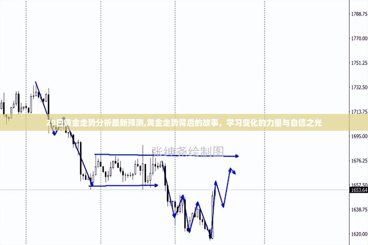 黄金走势最新预测，探寻背后的故事与变化力量