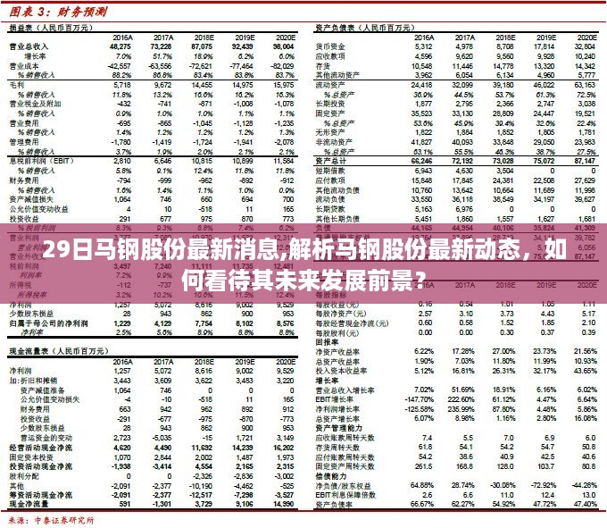 马钢股份最新动态解析与未来发展前景展望