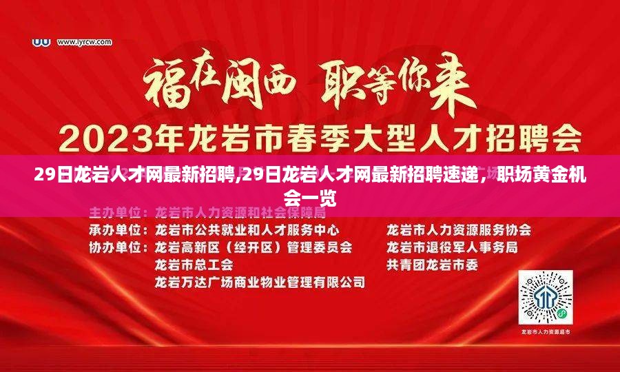 龙岩人才网最新招聘速递，职场黄金机会一网打尽