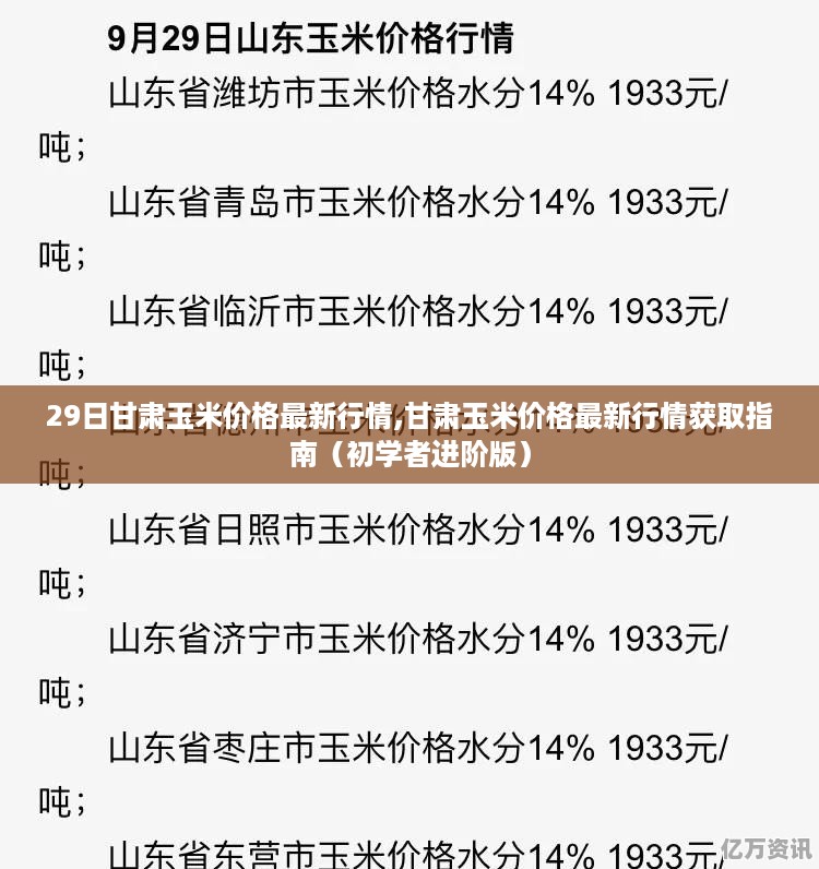 甘肃玉米价格最新行情获取指南，初学者进阶版，洞悉29日甘肃玉米市场走势