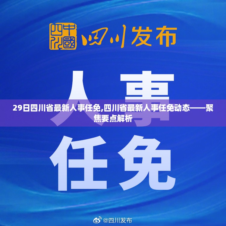 四川省最新人事任免动态解析，聚焦要点，洞悉人事变动趋势