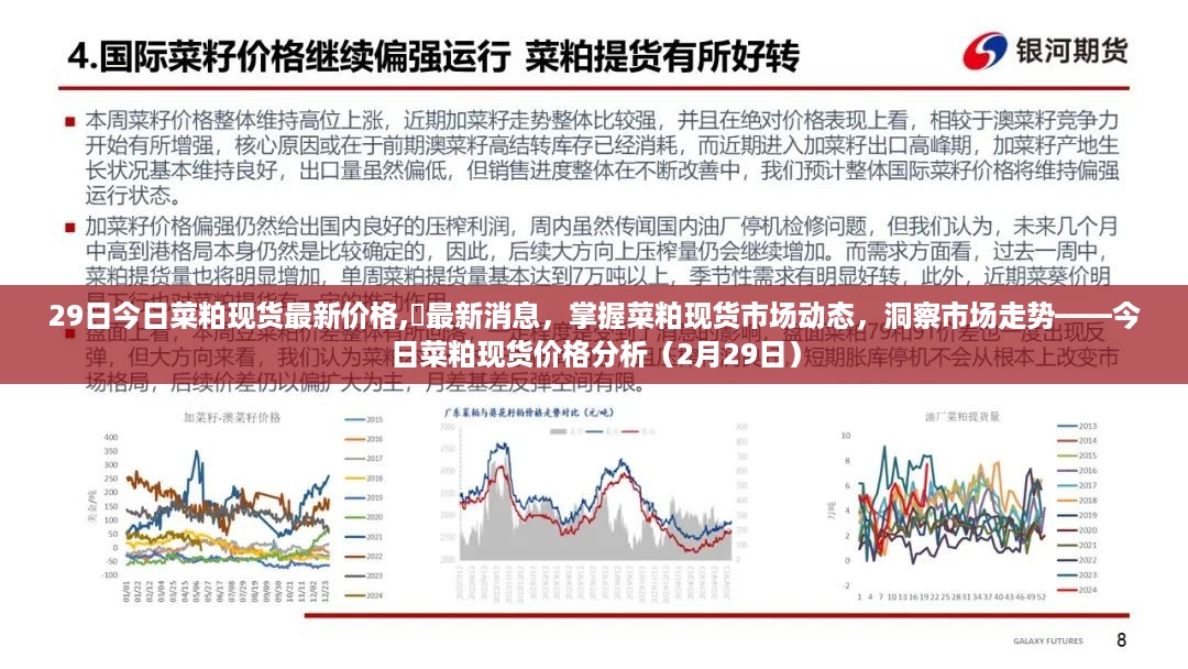 2月29日菜粕现货价格分析，市场动态与最新消息