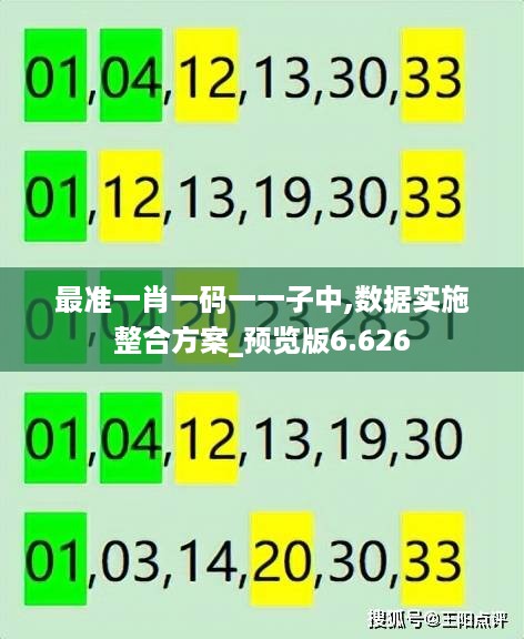 最准一肖一码一一子中,数据实施整合方案_预览版6.626