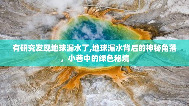 地球神秘角落揭秘，漏水背后的绿色秘境