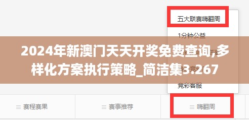 2024年新澳门天天开奖免费查询,多样化方案执行策略_简洁集3.267