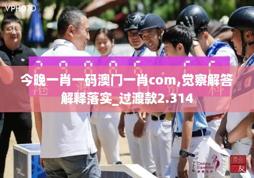 今晚一肖一码澳门一肖com,觉察解答解释落实_过渡款2.314