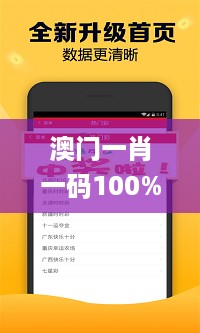 澳门一肖一码100%精准王中王,安全解析方案_定制版8.951