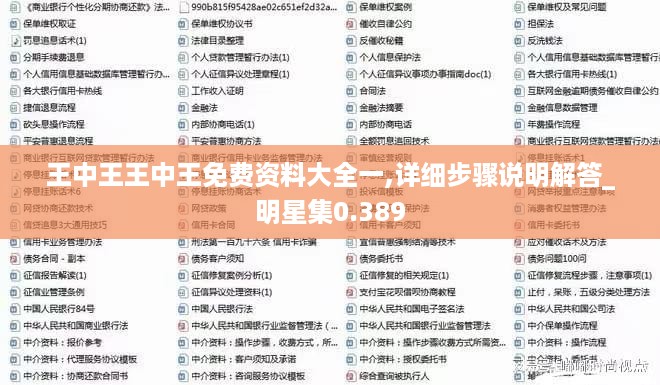 王中王王中王免费资料大全一,详细步骤说明解答_明星集0.389