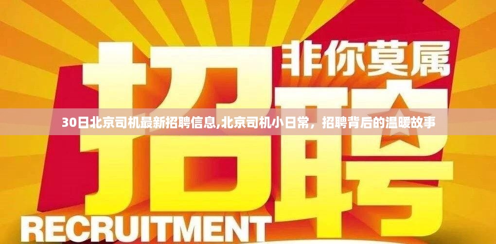 北京司机最新招聘信息揭秘，招聘背后的温暖故事与小日常体验