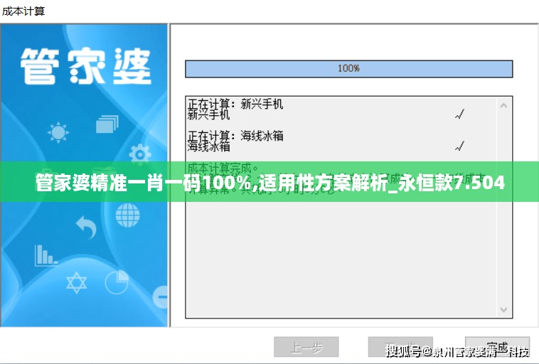 管家婆精准一肖一码100%,适用性方案解析_永恒款7.504