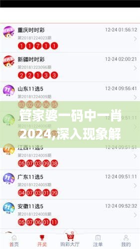 管家婆一码中一肖2024,深入现象解答解释探讨_H版7.92