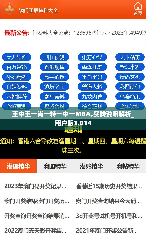 王中王一肖一特一中一MBA,实践说明解析_用户版1.014