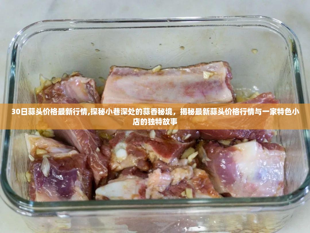 揭秘最新蒜头行情与小巷特色小店的独特故事，蒜头价格探秘之旅