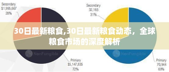 全球粮食市场深度解析，最新粮食动态与30日更新报告